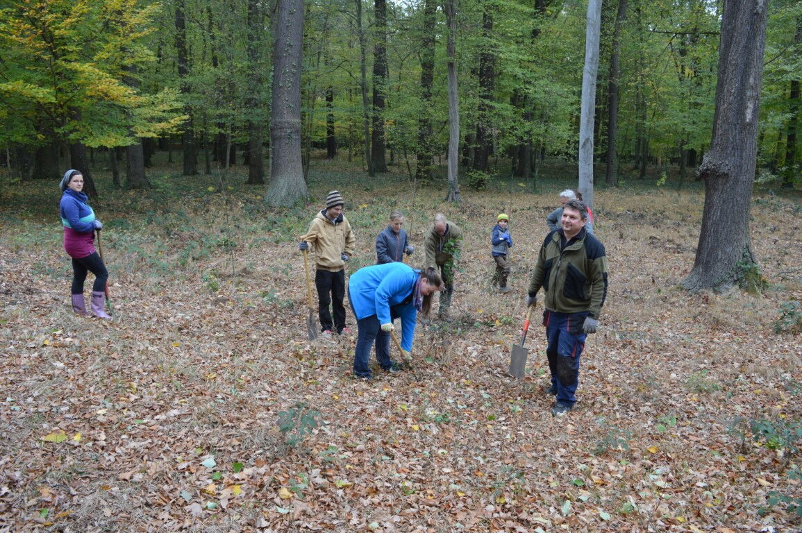 zu sehen sind Helfer beim Sämlinge setzen beim Arbeitseinsatz im Barockgarten in Zabeltitz