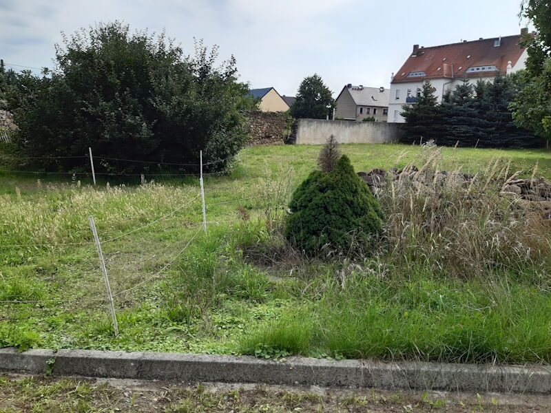 Sanierung Teichableiter westlicher Teil im OT Walda - Ausgangszustand der Fläche vor der Verrohrung