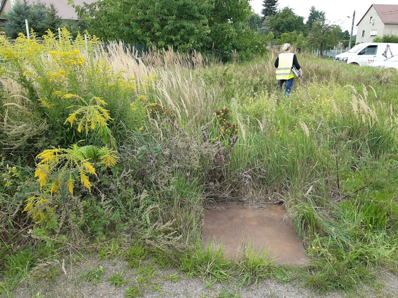 Sanierung Teichableiter westlicher Teil im OT Walda - Ausgangszustand der Fläche vor der Verrohrung, Aufnahme Stadtverw. Grhn. 21082023