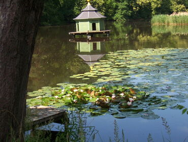 Inselteich im Barockgarten