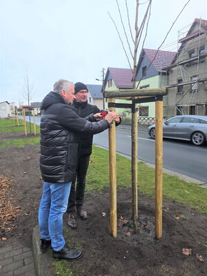 Zwei Männer stehen vor einem neugepflanzten Baum. Man sieht wie diese ein Schild anbringen.