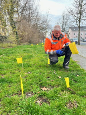 Das Foto zeigt einen Man in einer orangenen Warnweste. Er kniet in einer Wiese und steckt gelbe Fähnchen in diese.