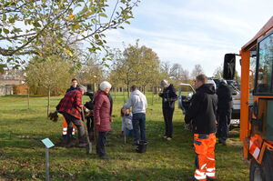 Auf einer Wiese, auf der auch junge Bäume stehen, pflanzen mehrere Menschen neue Bäume.