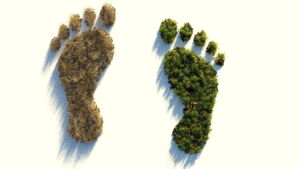 Das Foto zeigt zwei Fußabdrücke, bewachsen mit Gras. Beim linken Fußabdruck ist das Gras trocken und braun. Beim rechten Fußabdruck grün und lebendig.
