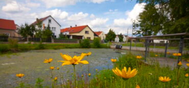 Dorfansicht in Walda Dorfansicht in Walda