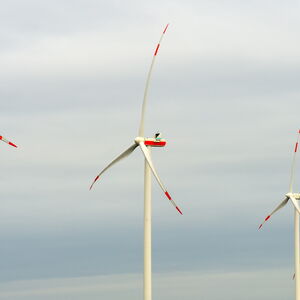 Das Foto zeigt fünf Windkraftanlagen mit rot-weißen Flügeln. Im Hintergrund ist der Himmel zu sehen.
