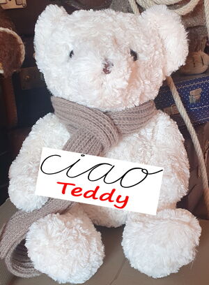 Ein kleiner weißer Stoffteddy mit einem beigen Schal hält ein weißes Schild. Darauf steht in schwarzer Schrift "ciao" und in roter Schrift "Teddy".