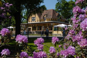 Das Foto zeigt ein altes Haus umgeben von Bäumen und Wiesen.