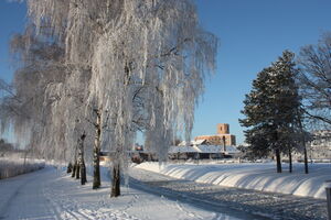 Zu sehen ist eine malerische Winterlandschaft mit verschneiden Wiesen und Bäumen. Im Hintergrund sieht man Gebäude, darunter das Kulturschloss Großenhain.