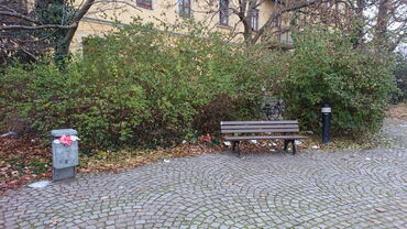 Die Foto zeigt eine Parkbank und daneben einen Mülleimer. Dazwischen liegt überall Müll.