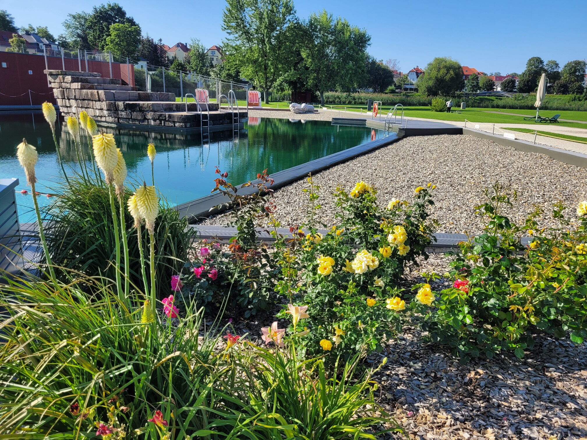 Das Foto zeigt Blumenrabatten im NEB.