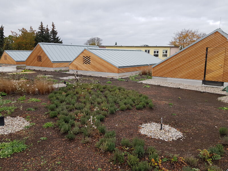 Ersatzneubau Kita Chladeniusstraße - Bauphase Dachbegrünung, Aufnahme 19102022