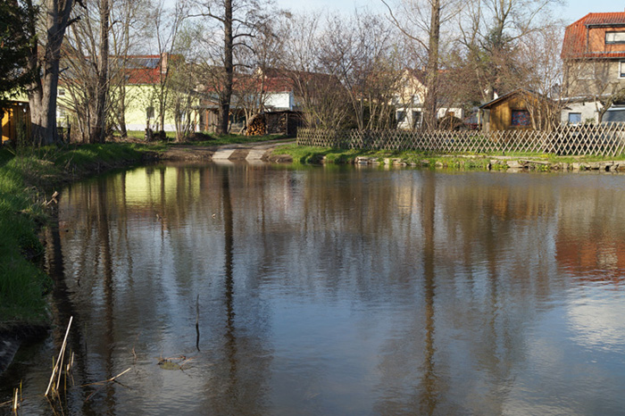 Teichzustand nach der Sanierung (1) - Aufnahme April 2021, Foto Stadtverwaltung Großenhain