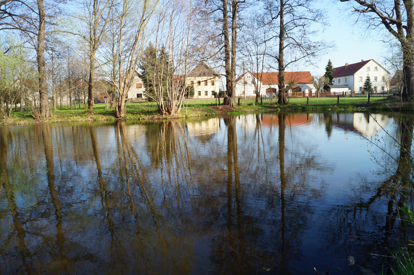 Teichzustand nach der Sanierung - Aufnahme April 2021, Foto Stadtverwaltung Großenhain