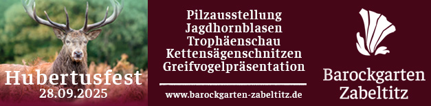 Das Banner zeigt auf der linken Seite einen Hirsch. Darunter steht: Hubertusfest. 28.09.2025. Rechts daneben steht: Piltzaustellung, Jagdhornblasen, Trophähenschau, Kettensägenschnitzen und Greifvogelpräsentation