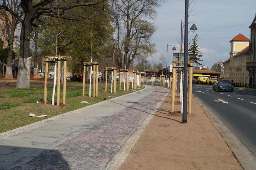 Umgestaltung Wallanlage 6. BA - neuangelegter Fuß-Radweg mit Neupflanzung Bäume, Aufnahme 01052021