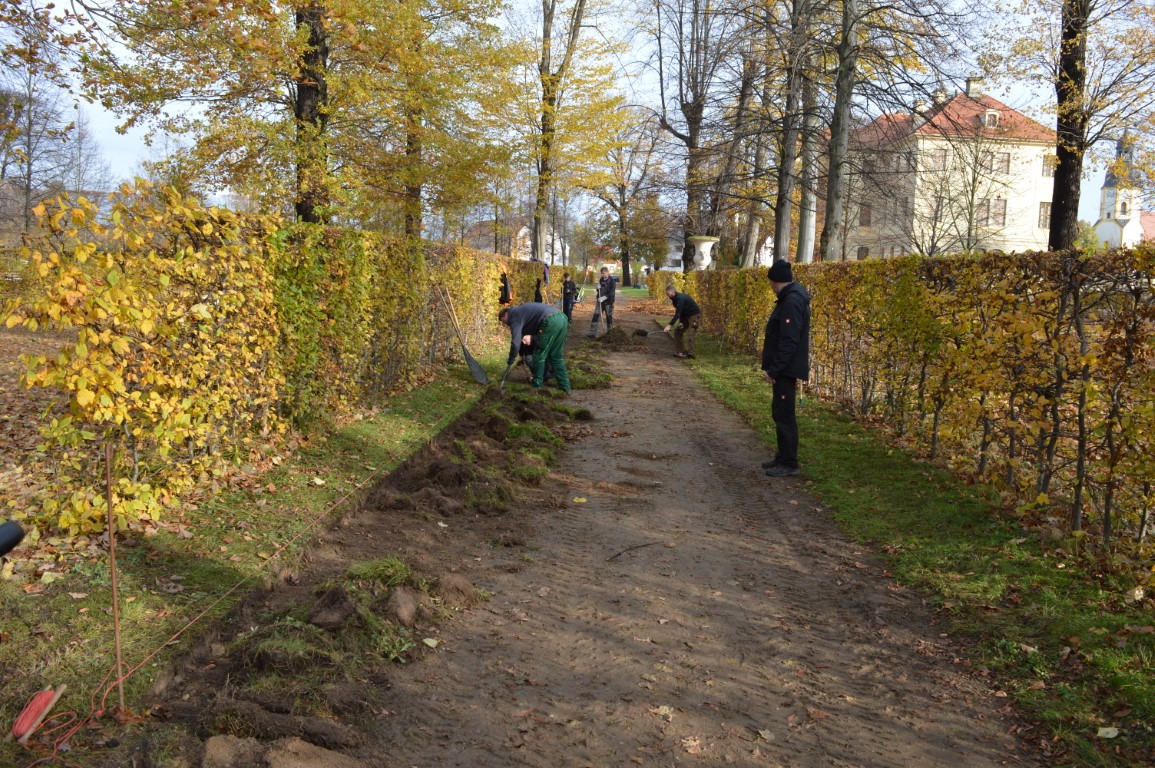 auf dem Foto ist zu sehen, das Abstechen der Wegkanten nach historischer Wegeführung während des Arbeitseinsatzes im Barockgarten in Zabeltitz