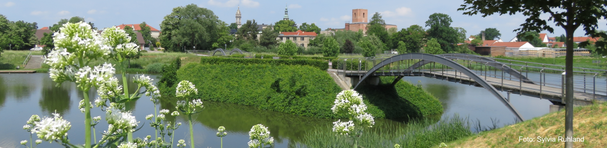 Home Stadt Grossenhain