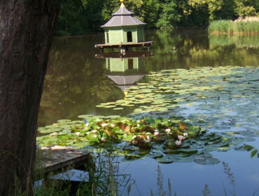 Inselteich im Barockgarten