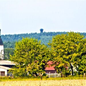 Blick auf den Heidebergturm