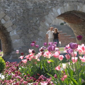 Frühling an der Wallanlage