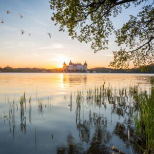 Schloss Moritzburg